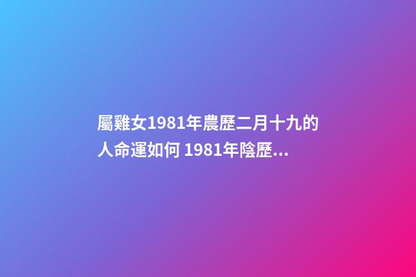 屬雞女1981年農歷二月十九的人命運如何 1981年陰歷2月19日辰時生人的命運